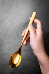 (NEO) Titanium Rocher Spoon 23cm / 9”