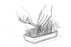 Ciseaux de cuisine en titane