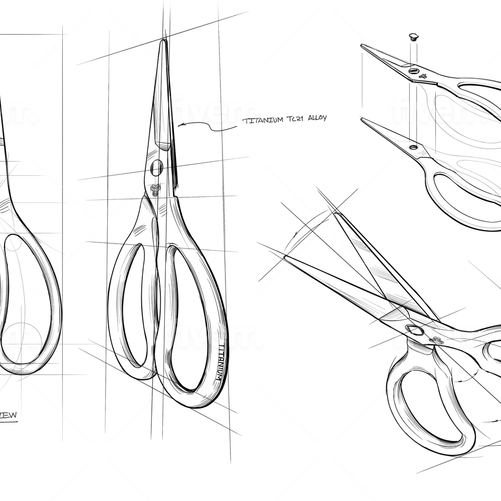 
                      
                        Titanium Kitchen Scissors
                      
                    