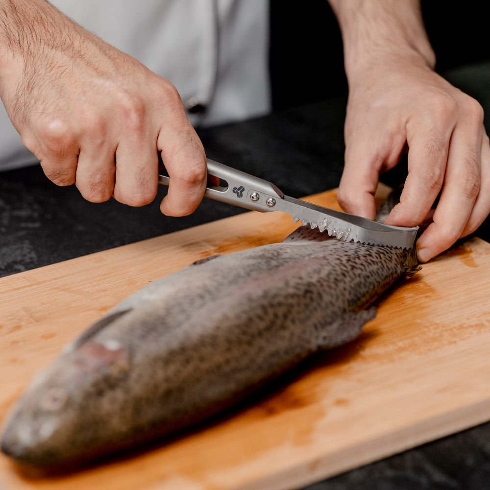 
                      
                        Écailleur de poisson en titane
                      
                    