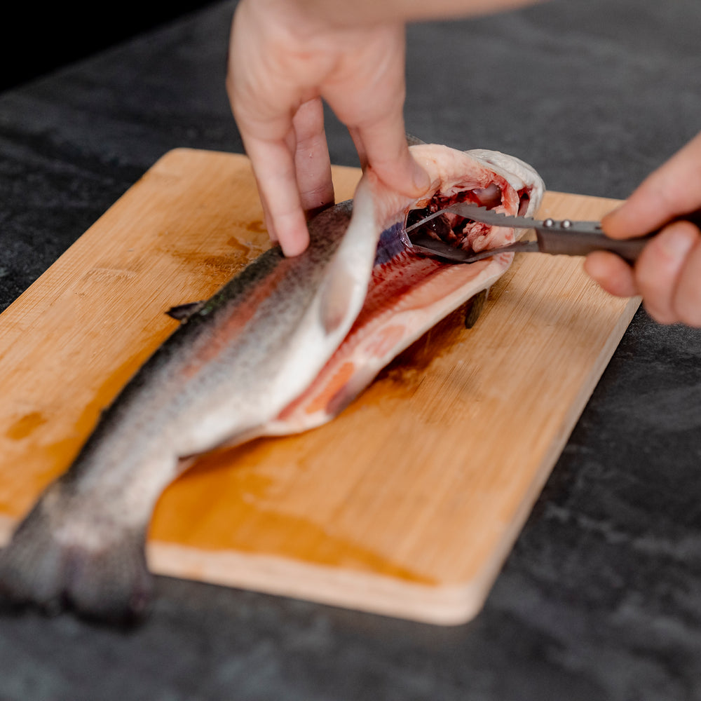 
                      
                        Écailleur de poisson en titane
                      
                    