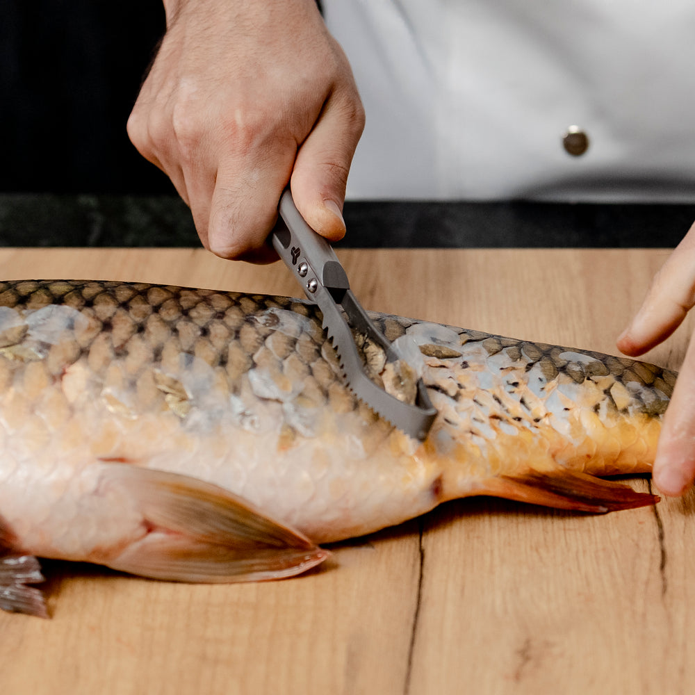 
                      
                        Écailleur de poisson en titane
                      
                    