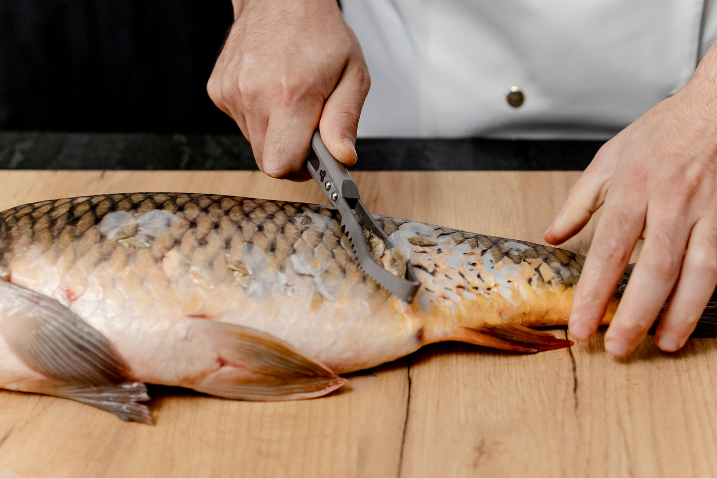 Écailleur de poisson en titane